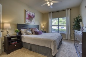 Two Bedroom Apartments for Rent in San Antonio, TX - Model Bedroom 